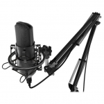Студийный микрофон Ritmix RDM-169 черный